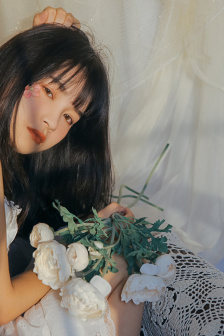 清穿之宠妃升级系统